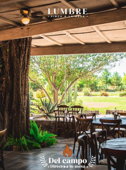 Cena año nuevo en San Miguel de Allende